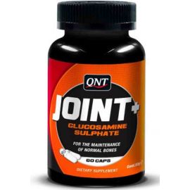 QNT Joint+ Support
