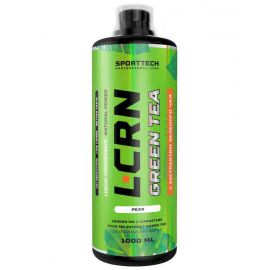 НПО Спортивные Технологии L-Carnitine + Green Tea Liquid Concentrate