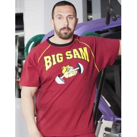 BIG SAM Топ BS-3076