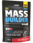 Mass Builder Mass Builder