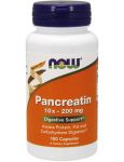 Pancreatin 10X 200 mg Pancreatin 10X 200 mg