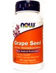 Grape Seed Standardized Extract 100 mg Grape Seed Standardized Extract 100 mg