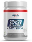 Ginkgo Biloba Ginkgo Biloba
