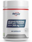 Ecdysterone Ecdysterone