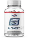 Genetic Lab Joint Support