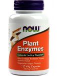 Plant Enzymes Plant Enzymes