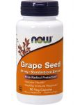 Grape Seed Standardized Extract 60 mg Grape Seed Standardized Extract 60 mg