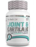 Joint & Cartilage