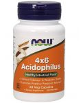 Acidophilus 4x6