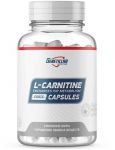 Carnitine Genetic Carnitine Genetic