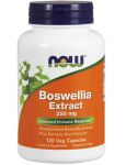 Boswellia Extract 250 mg